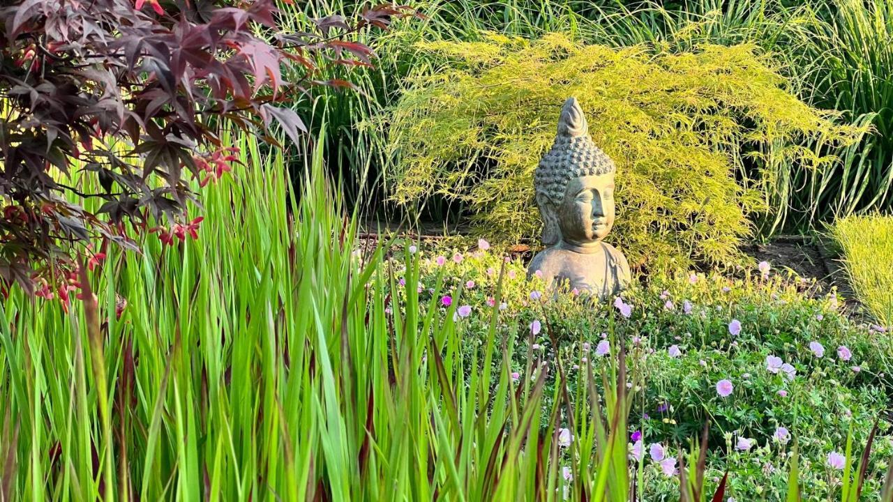 آويد ترنهاوت Ikigai B&B - Wellness المظهر الخارجي الصورة