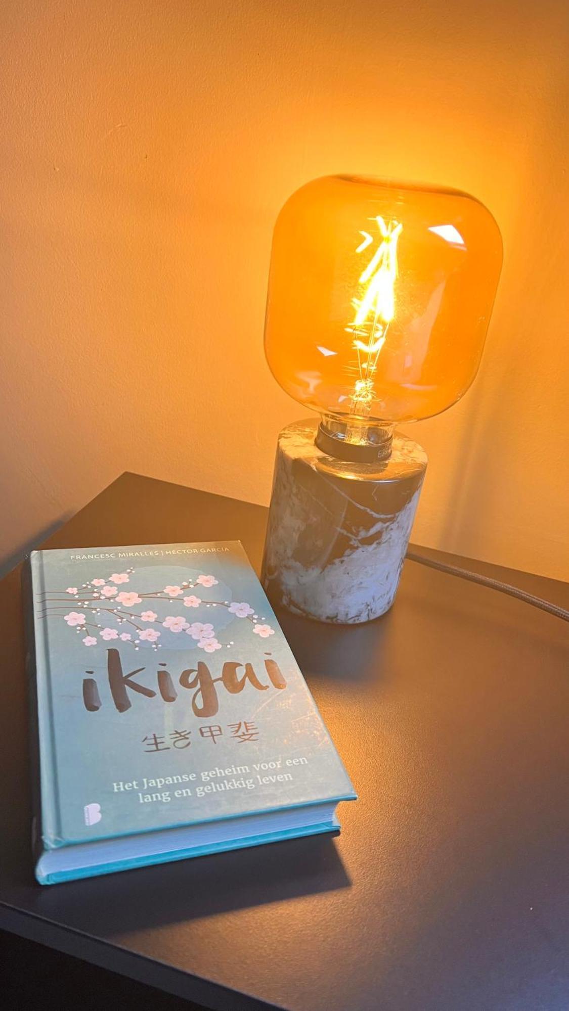 آويد ترنهاوت Ikigai B&B - Wellness الغرفة الصورة